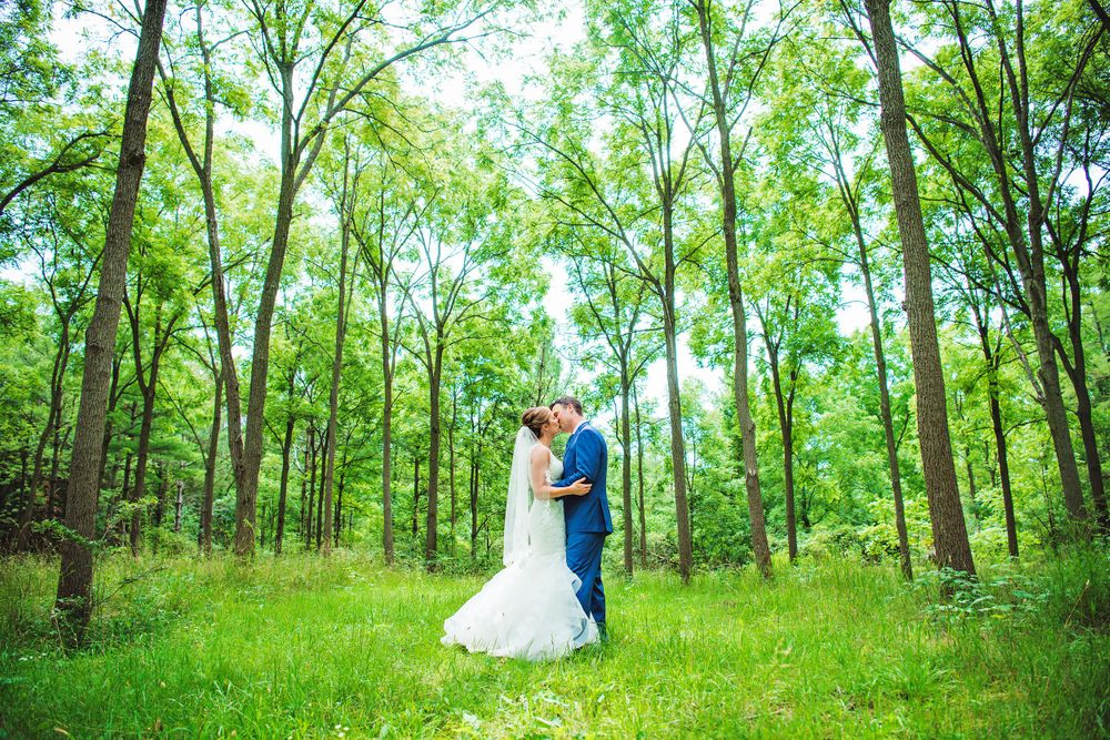 Wide panoramic shot of a wedding couple in a serene wooded area with bright green foliage.