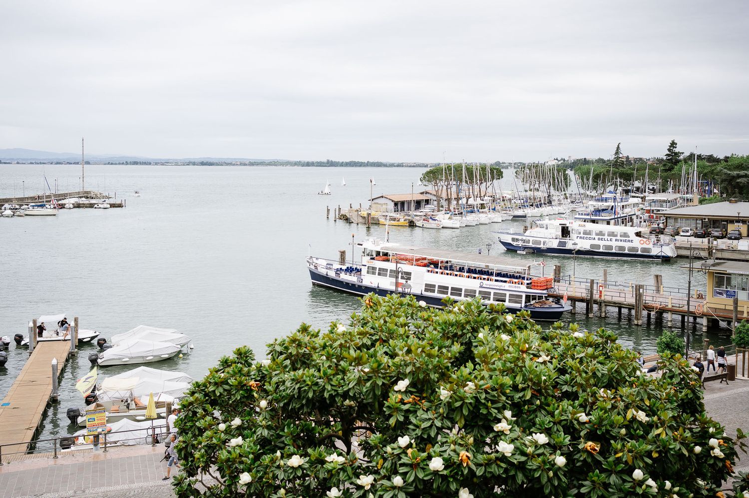 Marina dock with boats and waterfront view featuring blooming flowers in foreground.