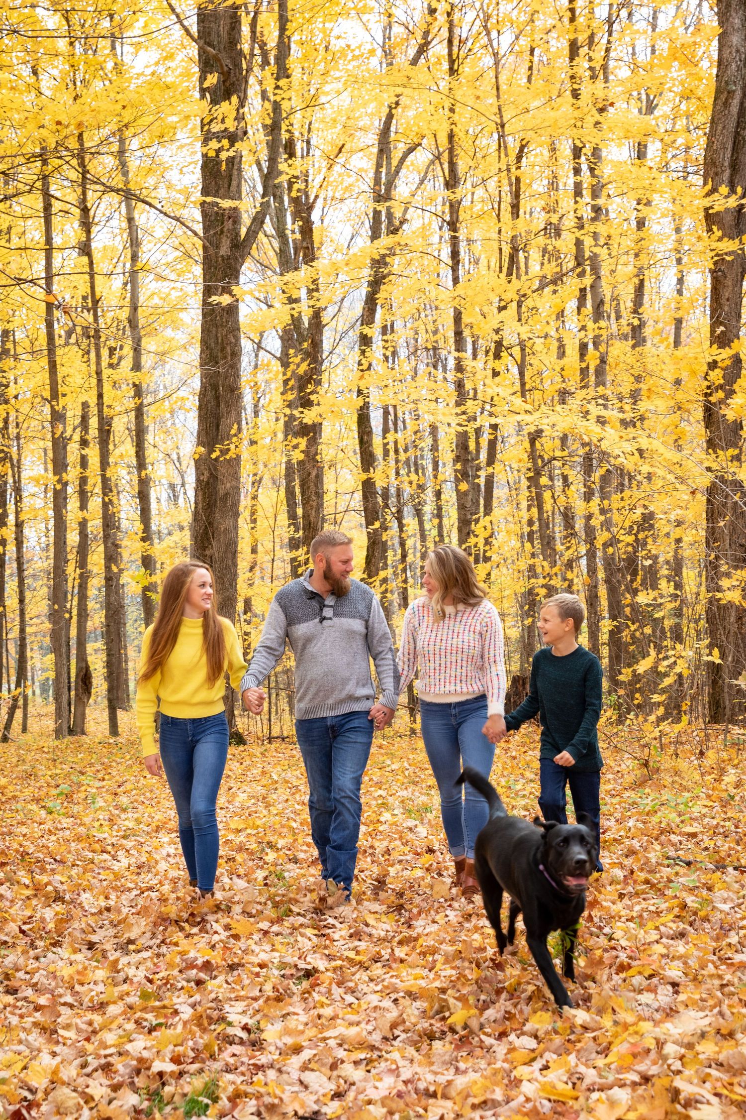 Family walking with their black dog through a golden autumn forest filled with fallen leaves.