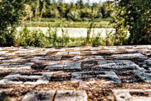 Close-up texture of weathered wood grain surface with natural lighting.