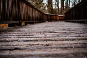 Wooden boardwalk bridge extends into the distance with dramatic perspective.