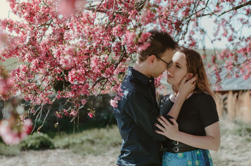 Romantic couple embraces under blooming pink cherry blossom trees in springtime.