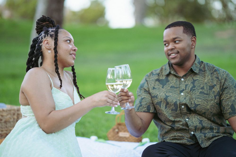 Couple toasting with wine glasses during romantic outdoor picnic.