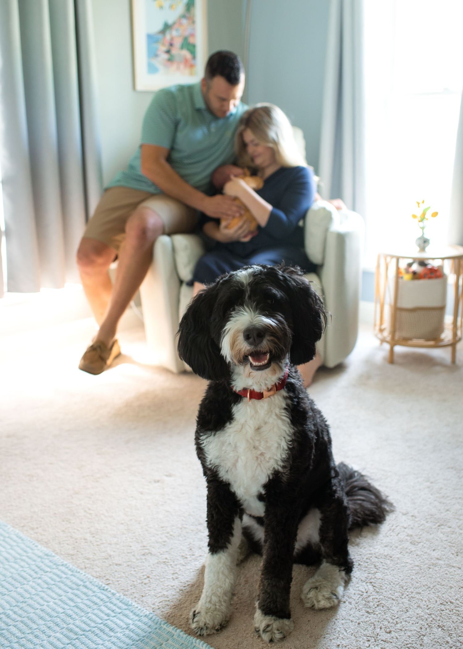 Happy dog sitting and smiling at camera while family relaxes in background.
