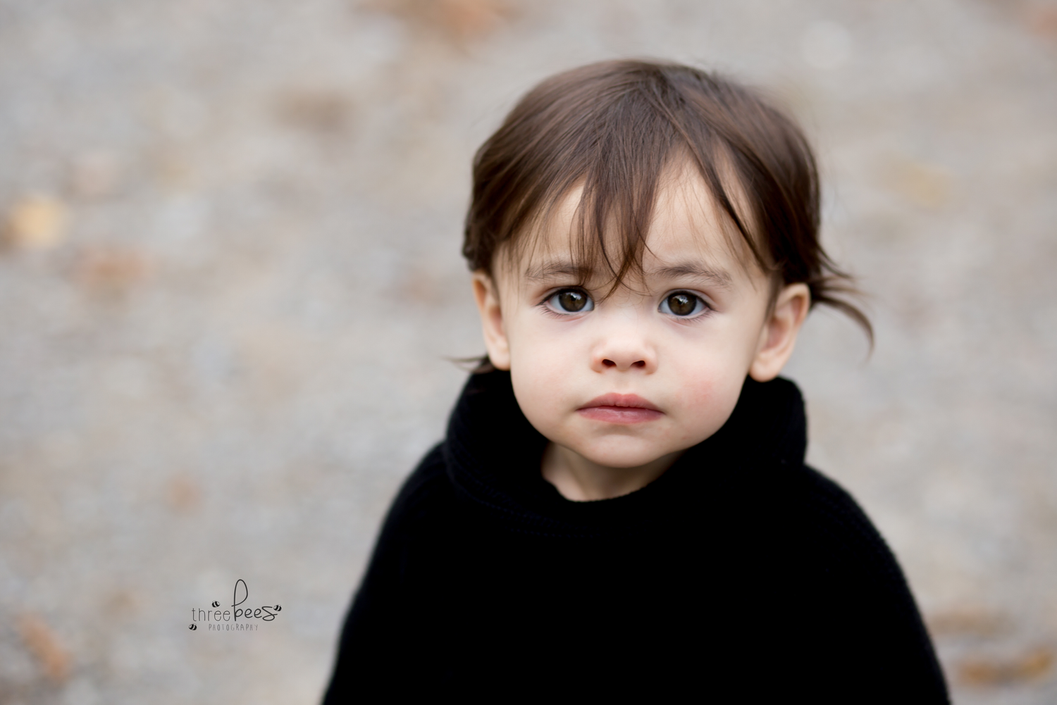 baby childrens photographer quinte west trenton brighton cobourg ontario