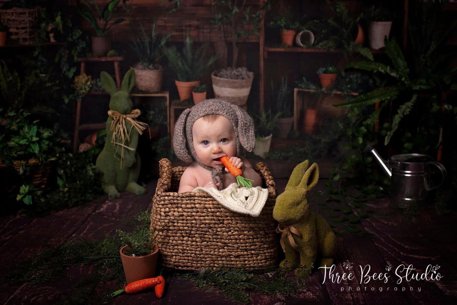 baby childrens photographer quinte west trenton brighton cobourg ontario