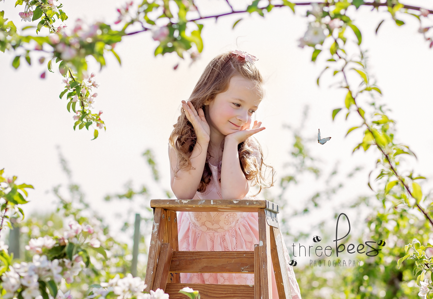 baby childrens photographer quinte west trenton brighton cobourg ontario