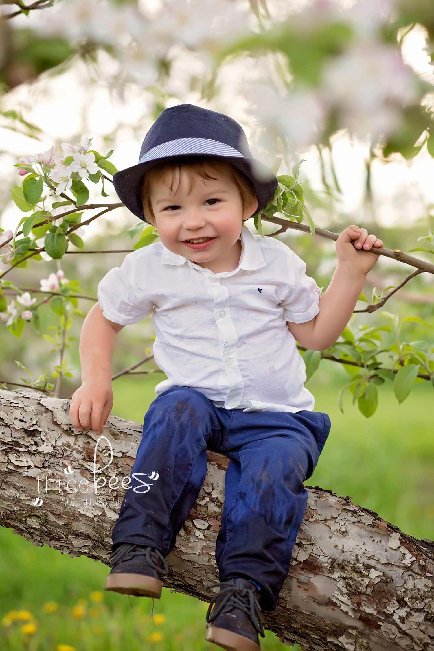 baby childrens photographer quinte west trenton brighton cobourg ontario