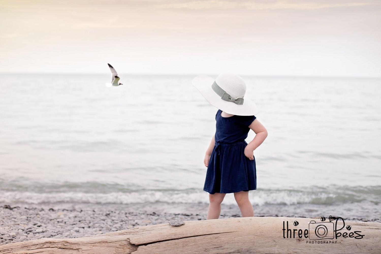 baby childrens photographer quinte west trenton brighton cobourg ontario