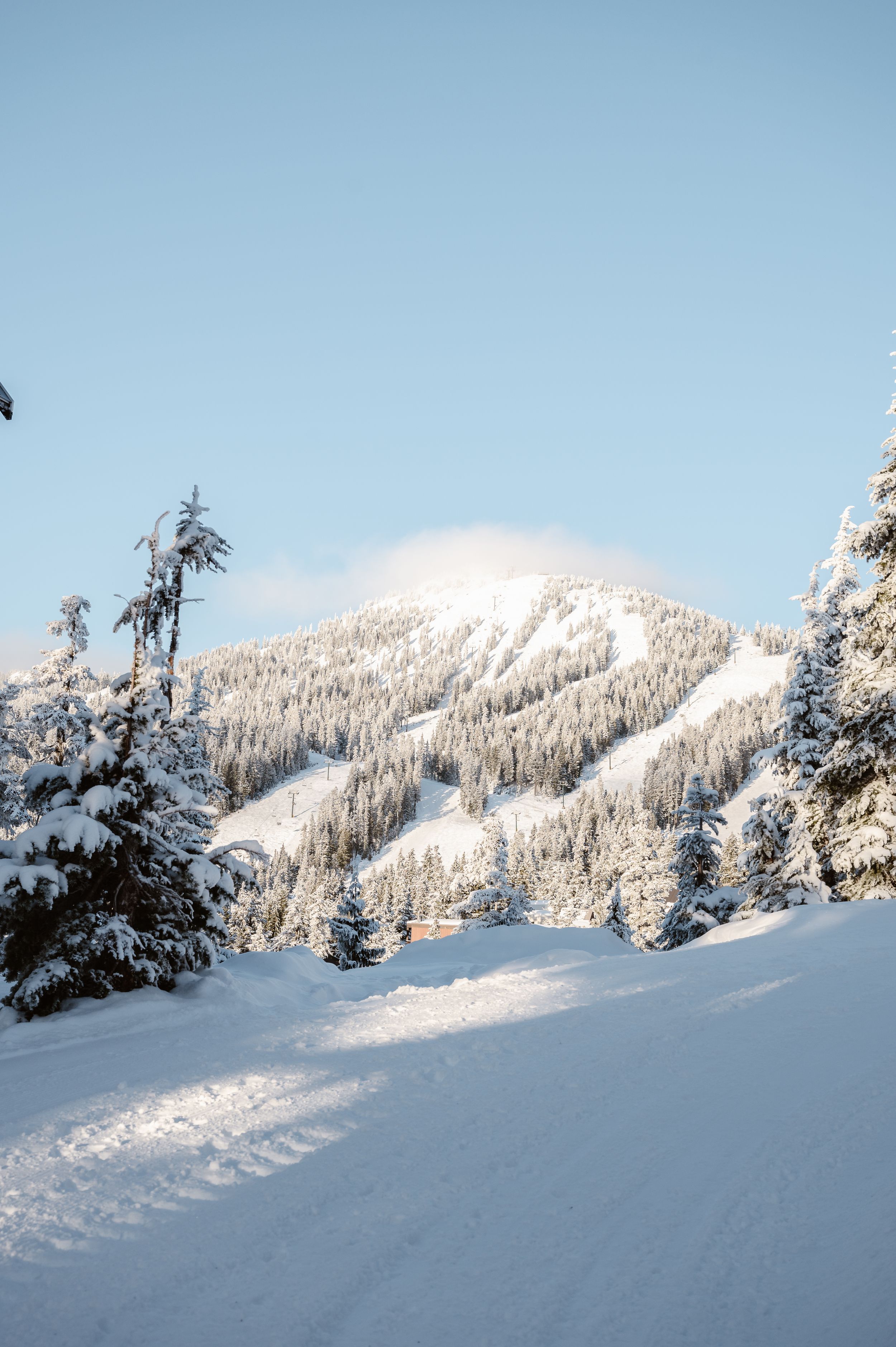 Skiing on Vancouver Island Driftwoods Photography