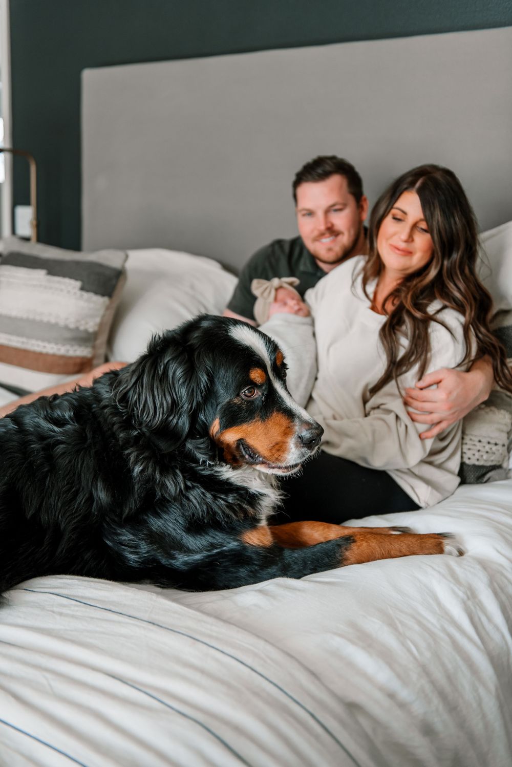 A black and brown dog joins a couple relaxing on a white bed.