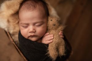 Baby holding bear- Colorado Springs Newborn Photographer