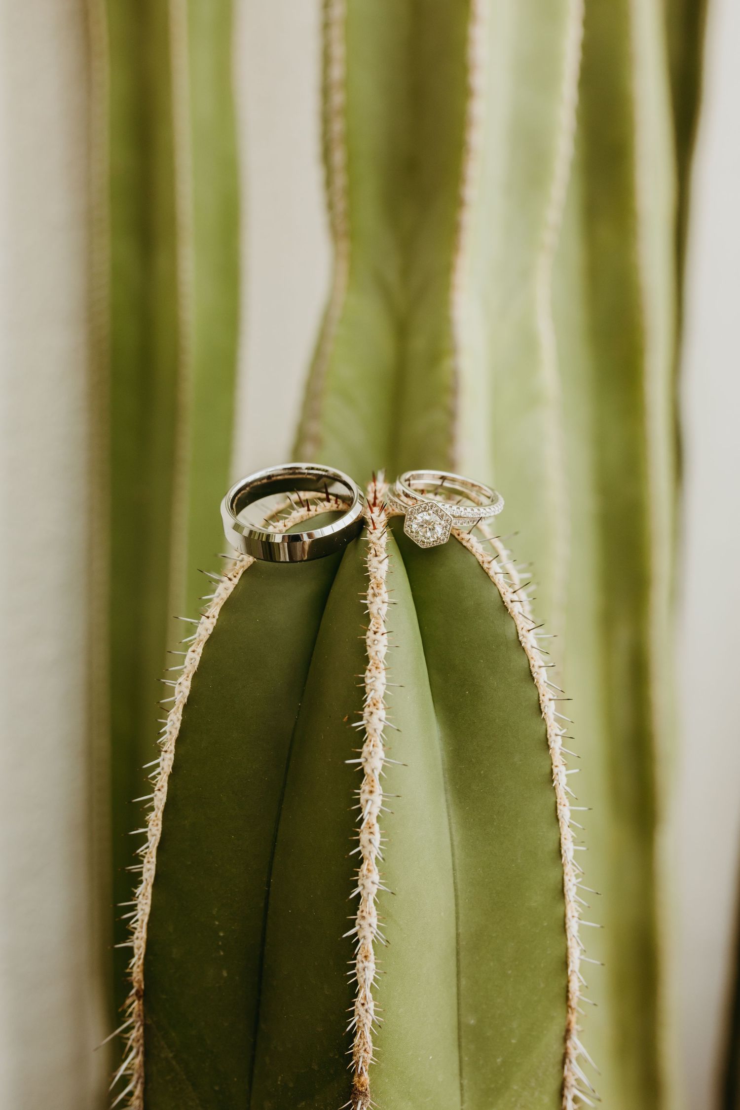 Wedding rings