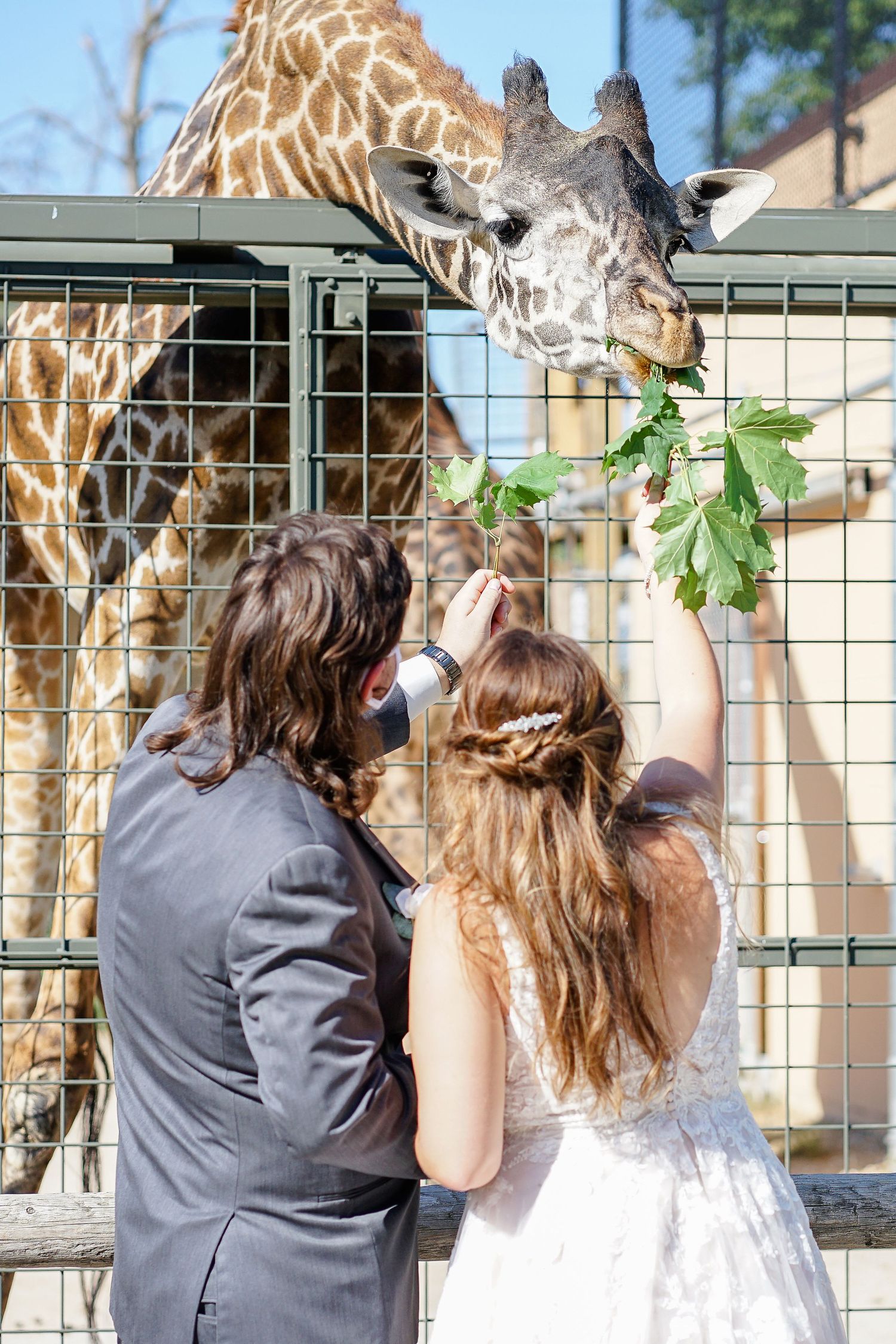 Wedding at Racine Zoo, Racine Wedding Photographer, Zoo Wedding, Wedding at Roma Lodge, Wedding Photos Racine
