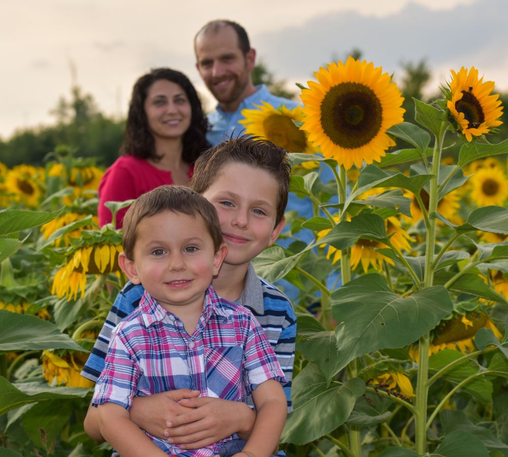 A family poses together in a sunflower field during golden hour.