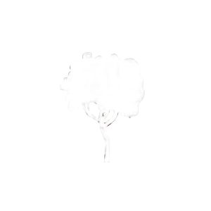 midgard-icon-5-0303590c.png