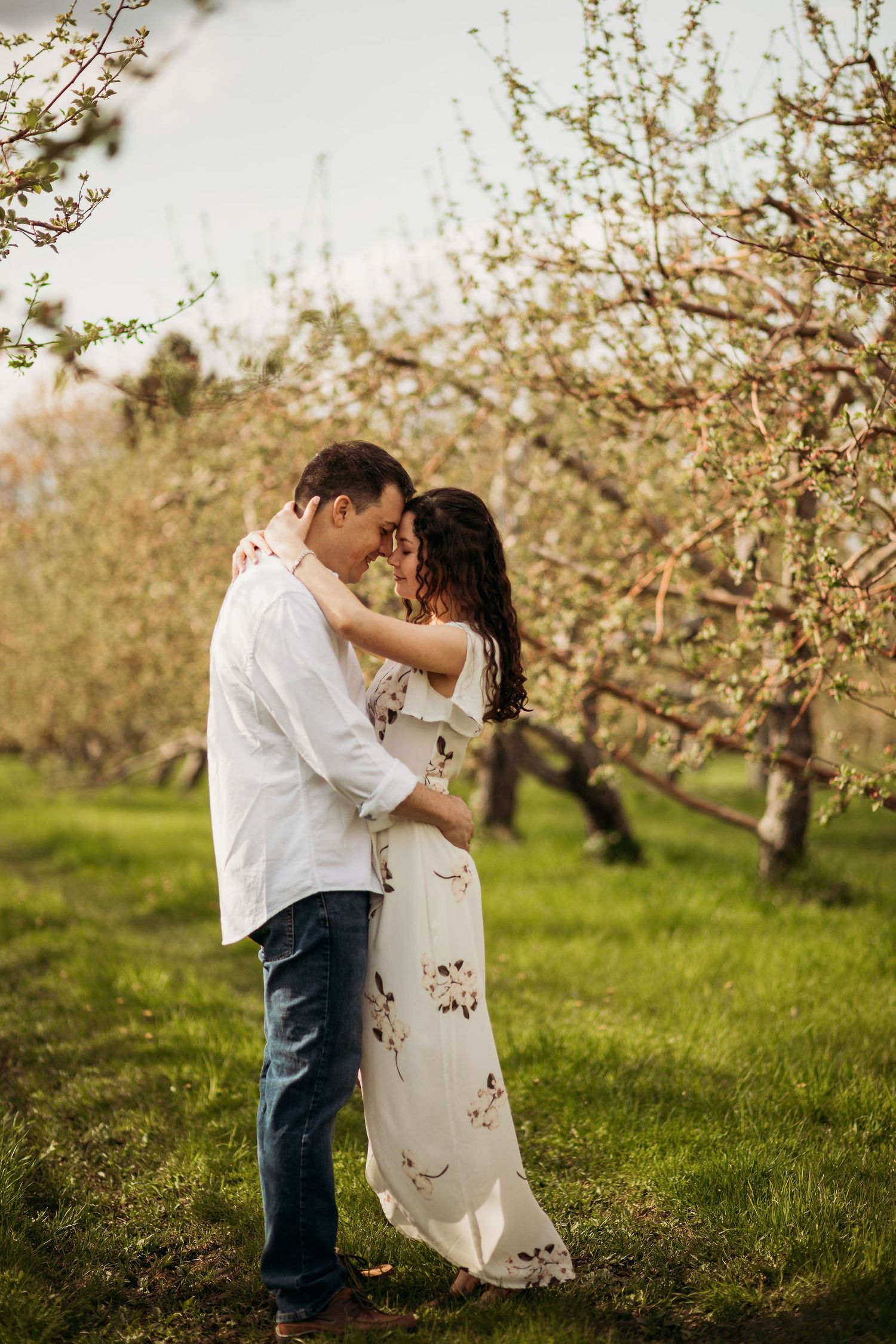 A tender moment captured between a couple in a flowering spring orchard.
