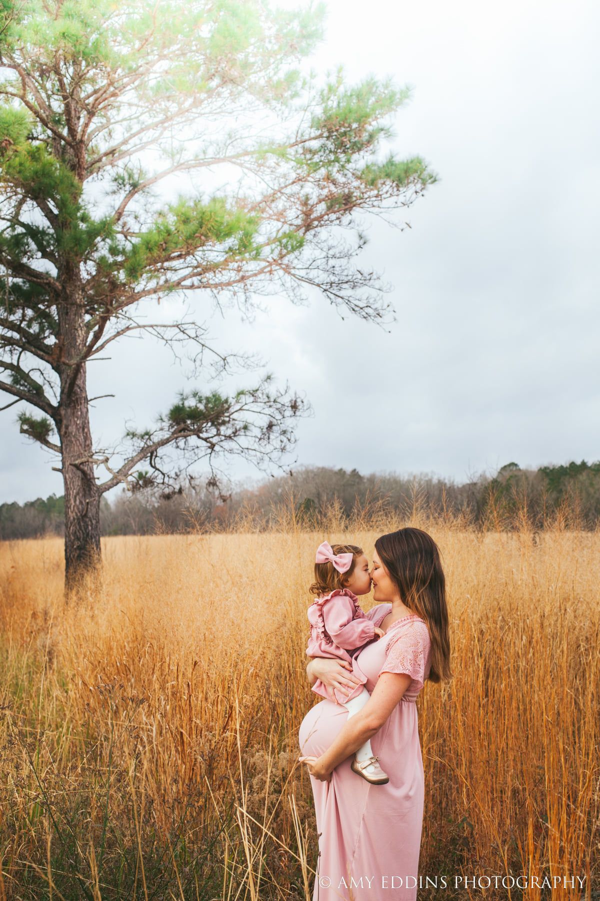 Family Photography Chesterfield SC, Amy Eddins Photography