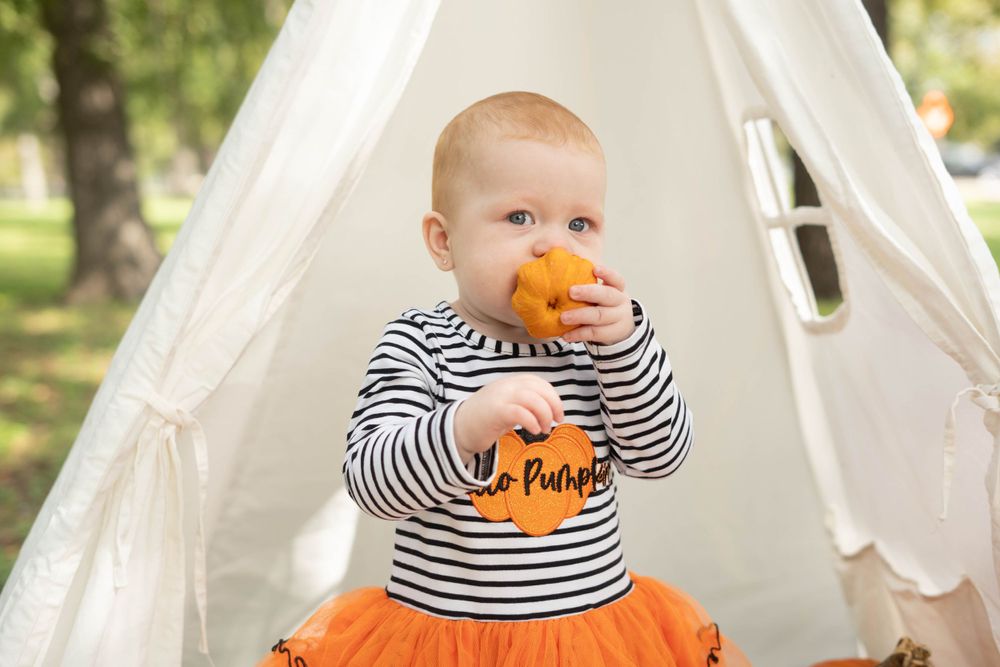 Cute baby in striped Hello Pumpkin shirt bites small orange pumpkin during fall-themed outdoor photo session.