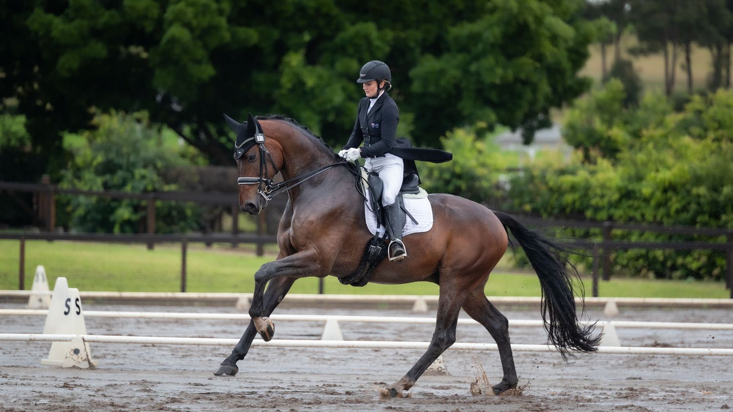 Alexis Hellyer with 'Valhalla I' during the Prix St Georges at the 2022 Sydney CDI. © Simon Scully