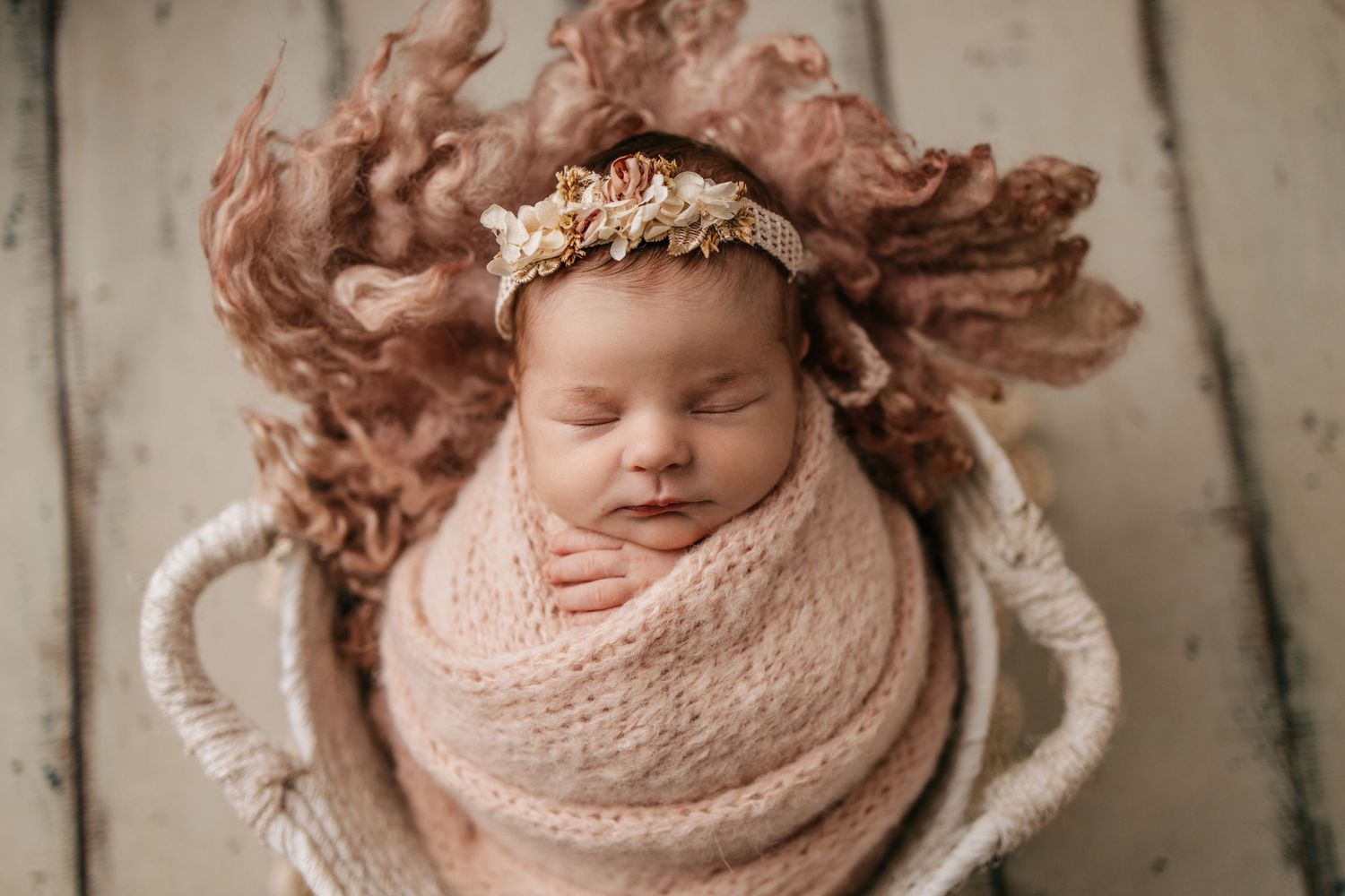 Brandon fl baby photographer