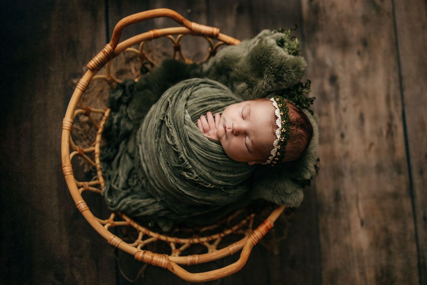 riverview fl newborn photographer