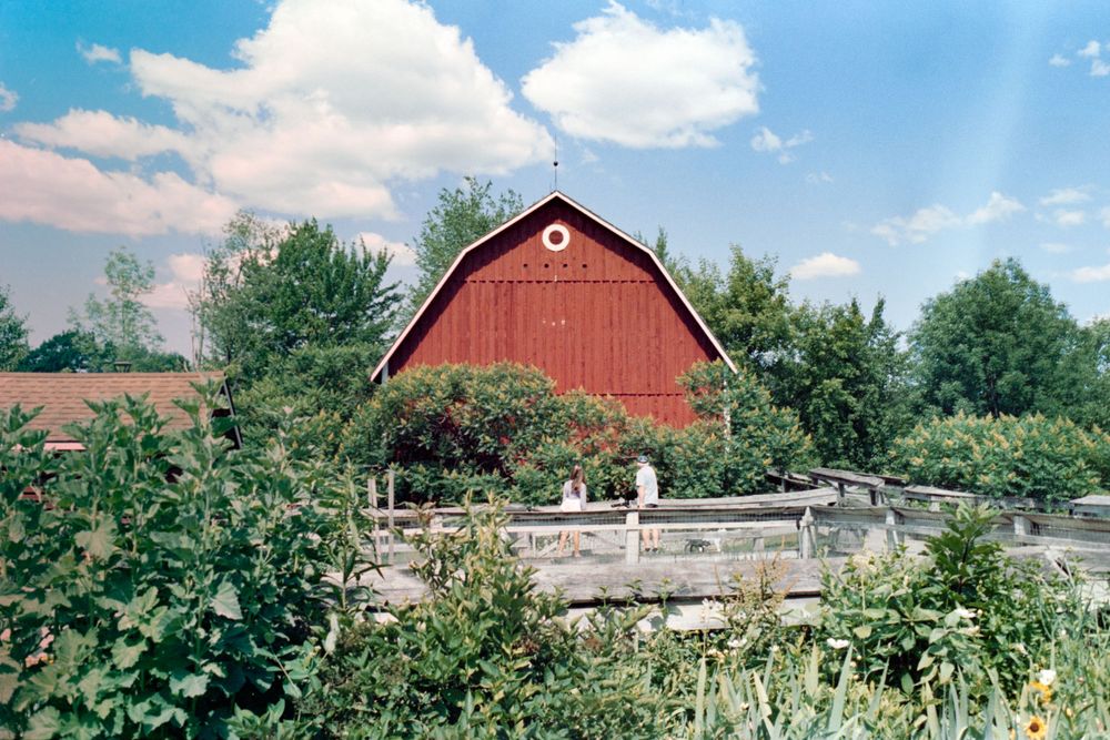 A red barn with white trim sits behind a wooden fence surrounded by greenery on a sunny summer day.