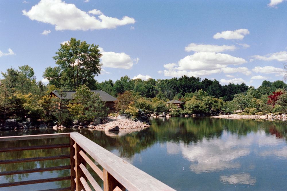 Tranquil lake view with wooden deck railing and lush trees reflecting in calm waters on a sunny day.