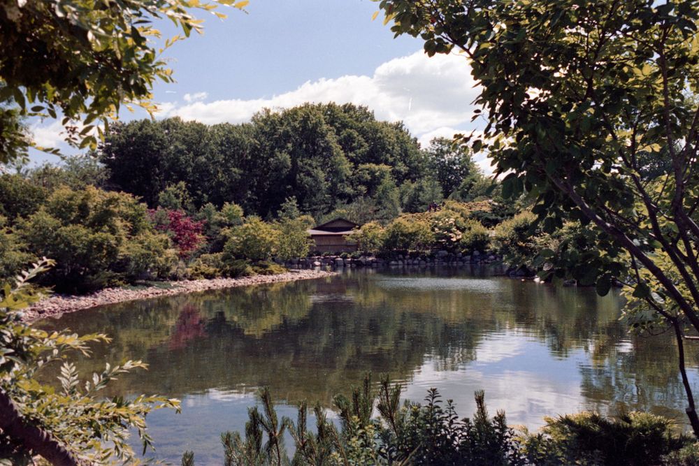 Peaceful pond surrounded by autumn foliage reflects clouds and trees in still waters.