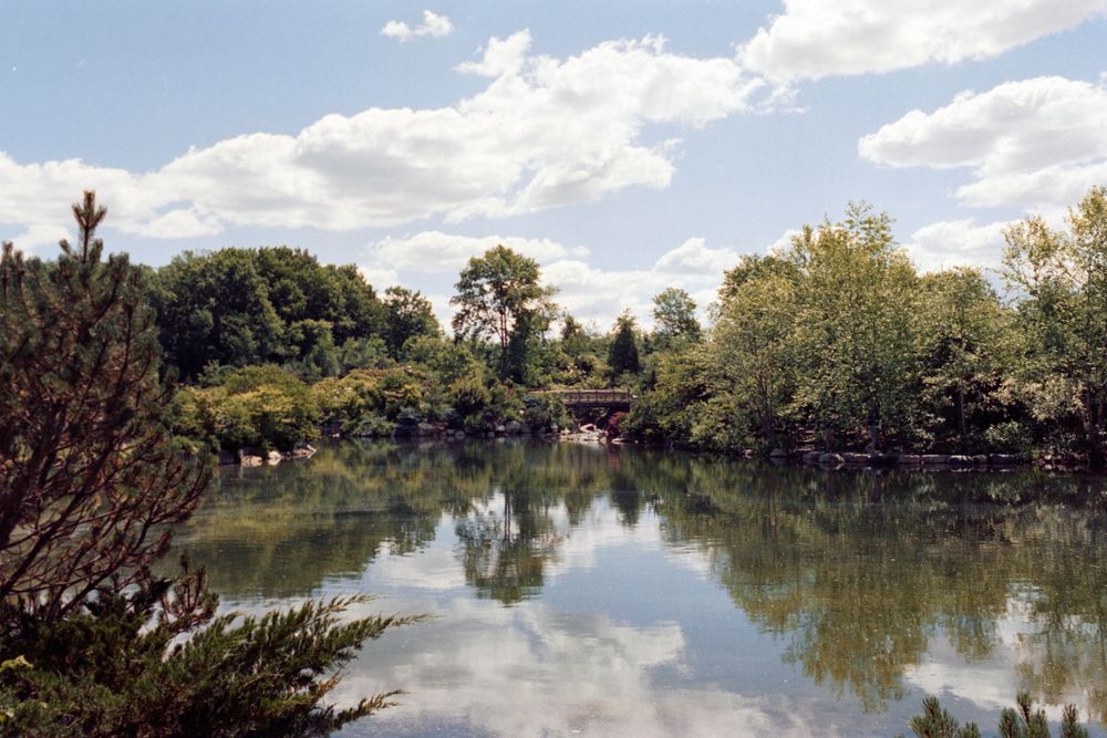 Scenic lake landscape with trees and vegetation reflecting in mirror-like water under cloudy sky.