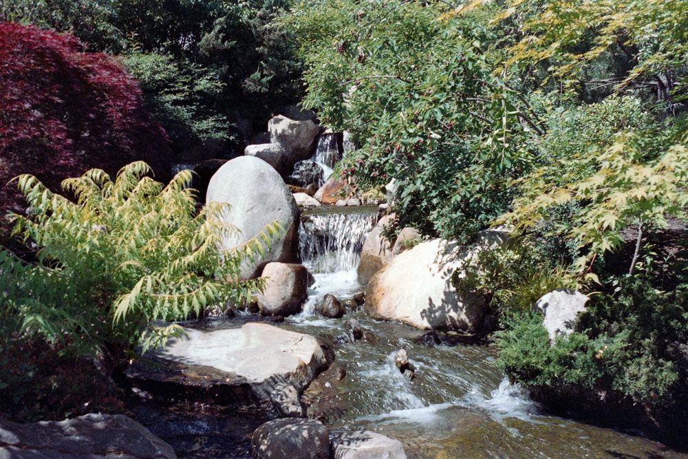 Small waterfall cascades over natural rock formation in Japanese garden setting with lush plants.