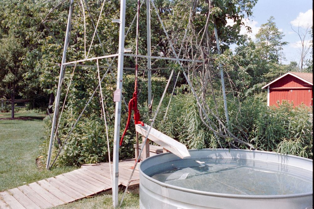 A metal windmill stands next to a water tank in a rural garden setting.
