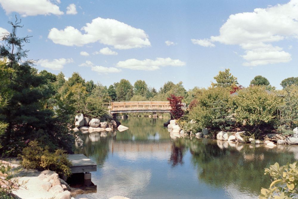Tranquil garden pond with rock features and a red bridge under blue skies.