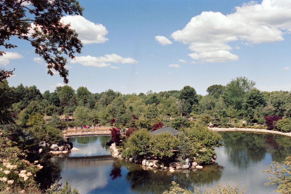 Scenic view of a landscaped pond with small islands and decorative bridges.