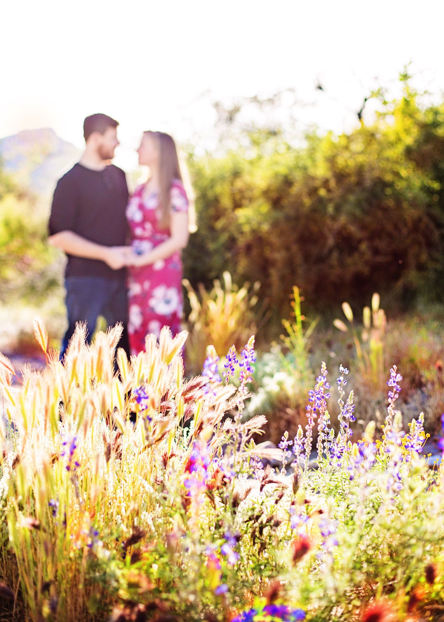 kentucky Indiana couples engagement photographer photography Louisville