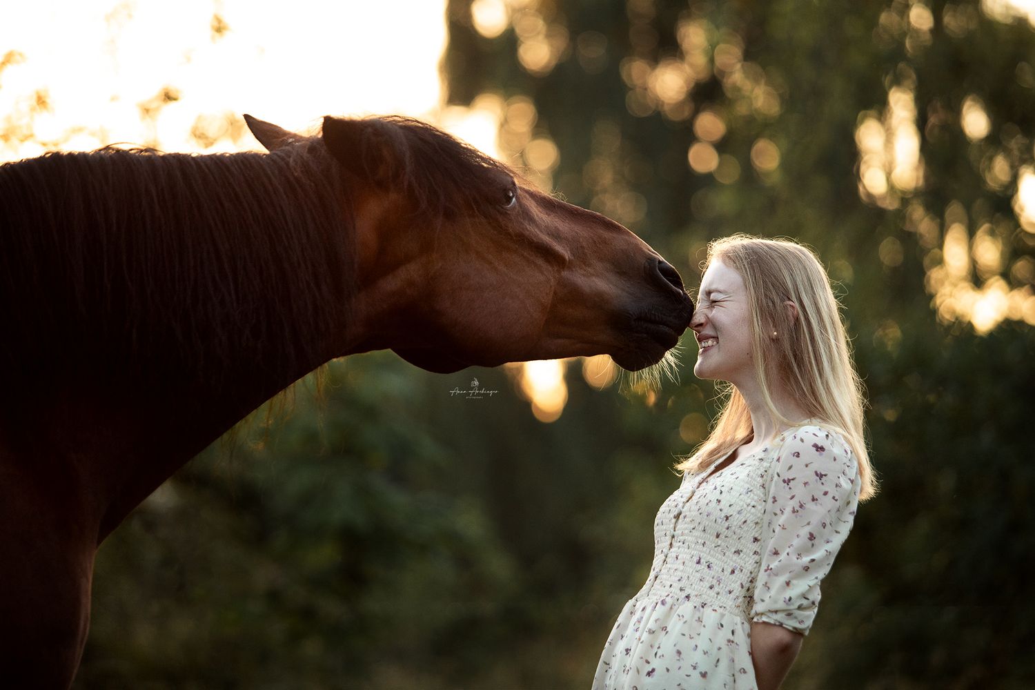 Horse and woman sharing a tender moment at sunset in a pastoral setting.