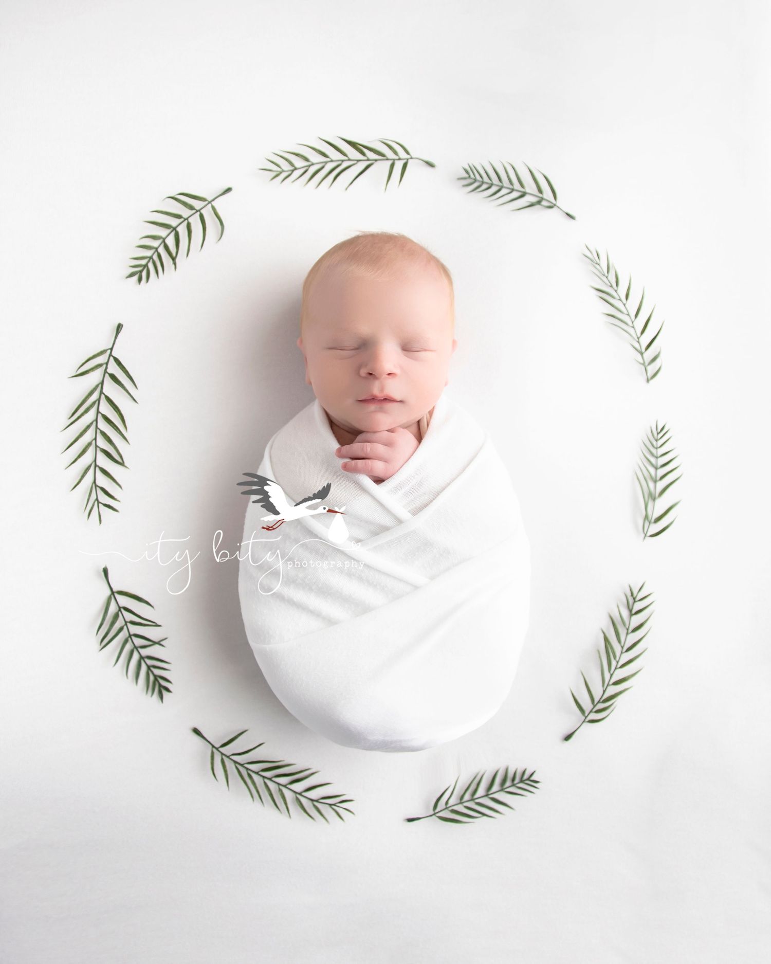 Amherst Newborn Photographer Baby Samuel Ity Bity Photography near Cleveland