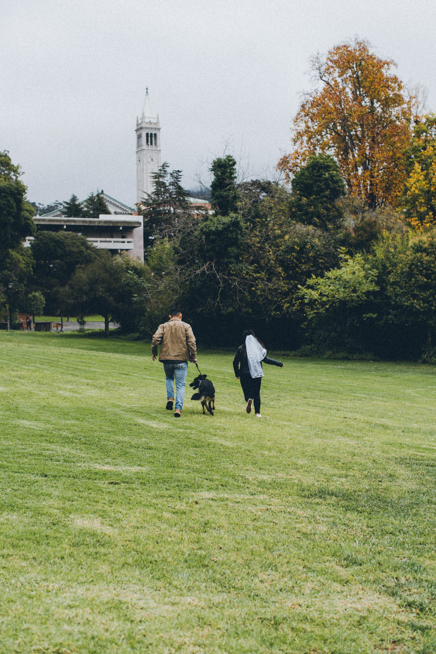 Two people walking with a dog across a green lawn with a church tower visible in the distance.