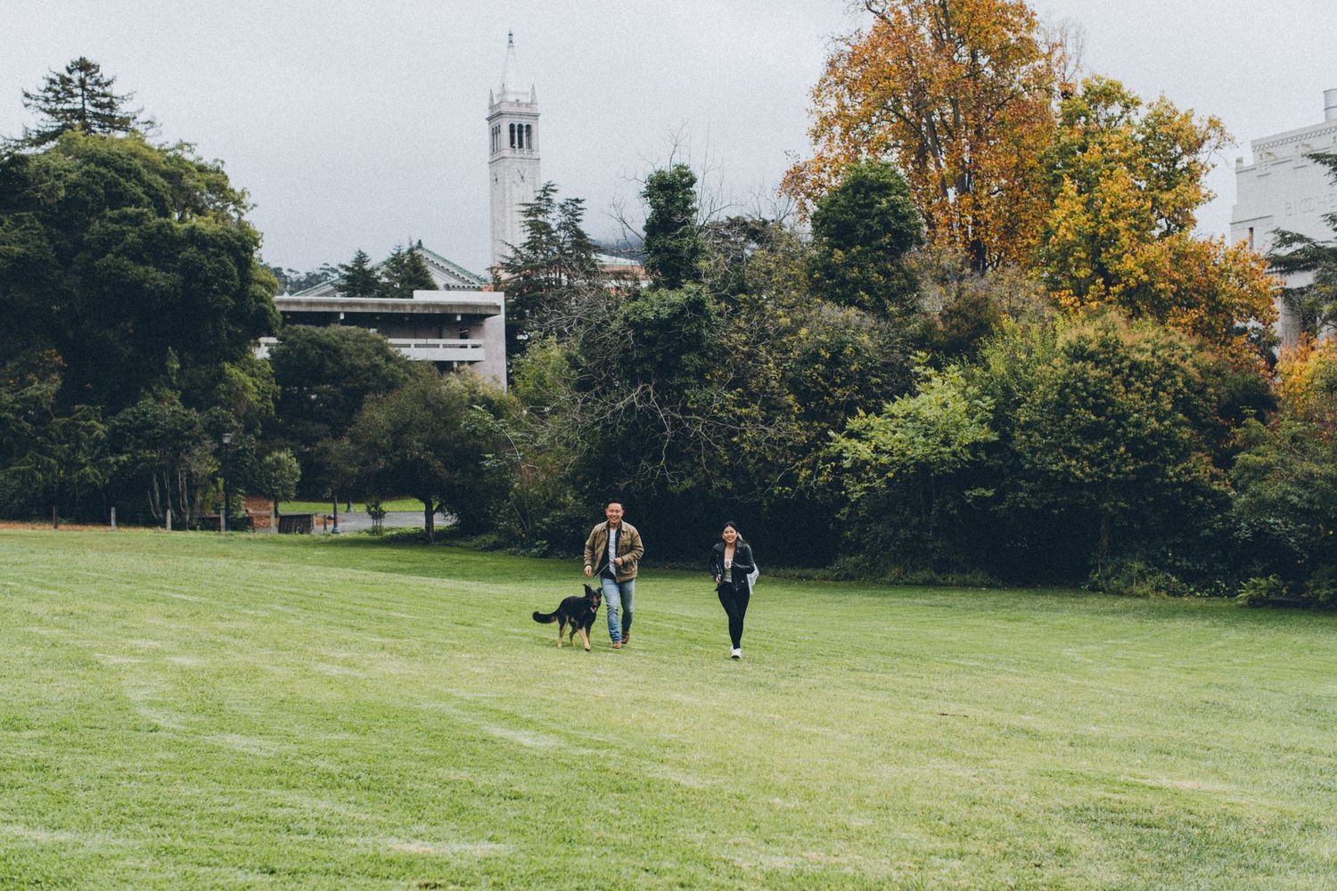 Two people walk their dog across a green lawn with autumn trees and a tower in the background.