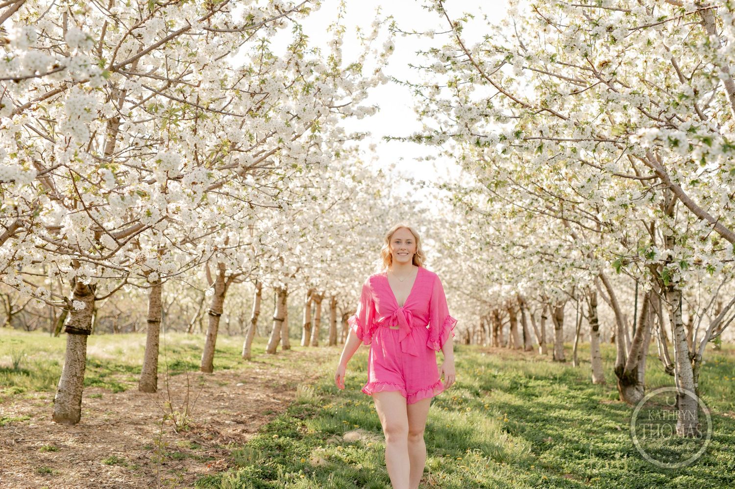 A sunny springtime portrait session among rows of white blooming fruit trees.