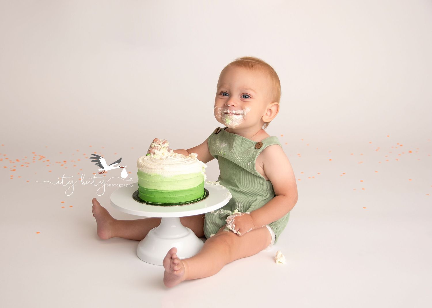 Cleveland Photographer Photoshoot Avon Ohio One Year Cake Smash Session