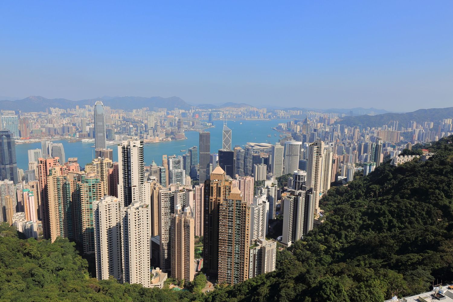 Panoramic view of Hong Kong's dense skyscrapers and Victoria Harbor from mountain viewpoint.