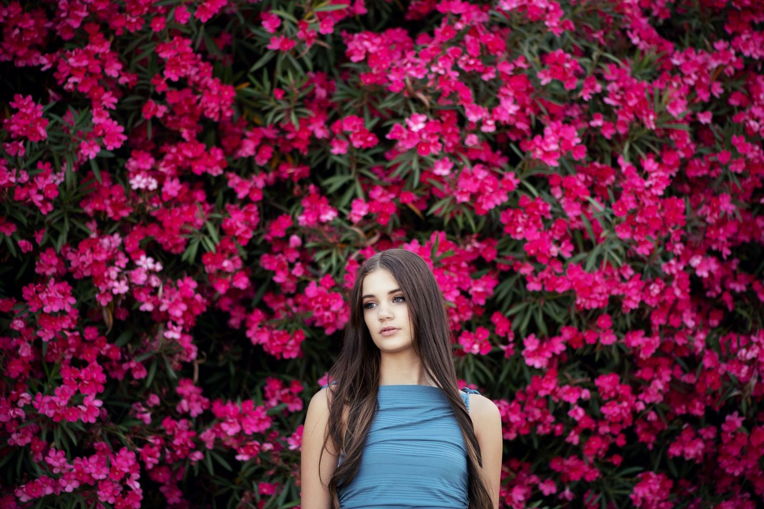 Azella Pink Wall, Brentwood CA