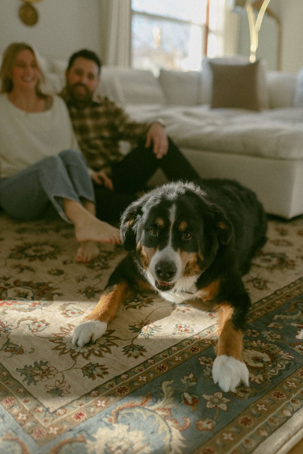 in home couples session with dog, in Grand Rapids michigan. cozy in home session. filmy family photos.