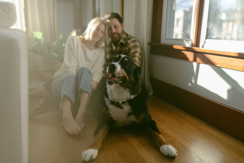 in home couples session with dog, in Grand Rapids michigan. cozy in home session. filmy family photos.