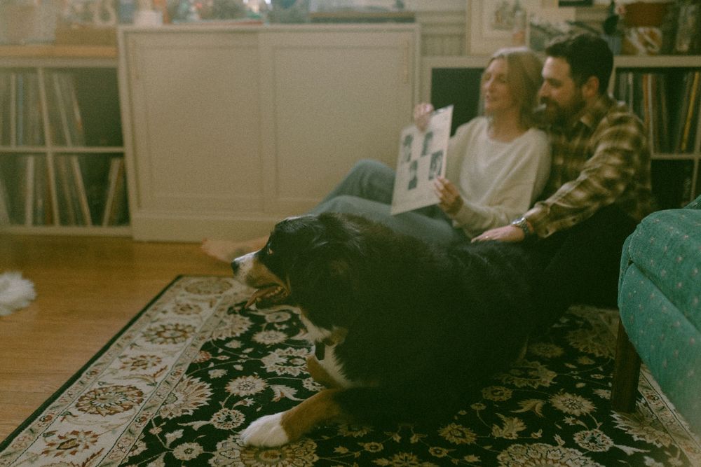 in home couples session with dog, in Grand Rapids michigan. cozy in home session. filmy family photos.