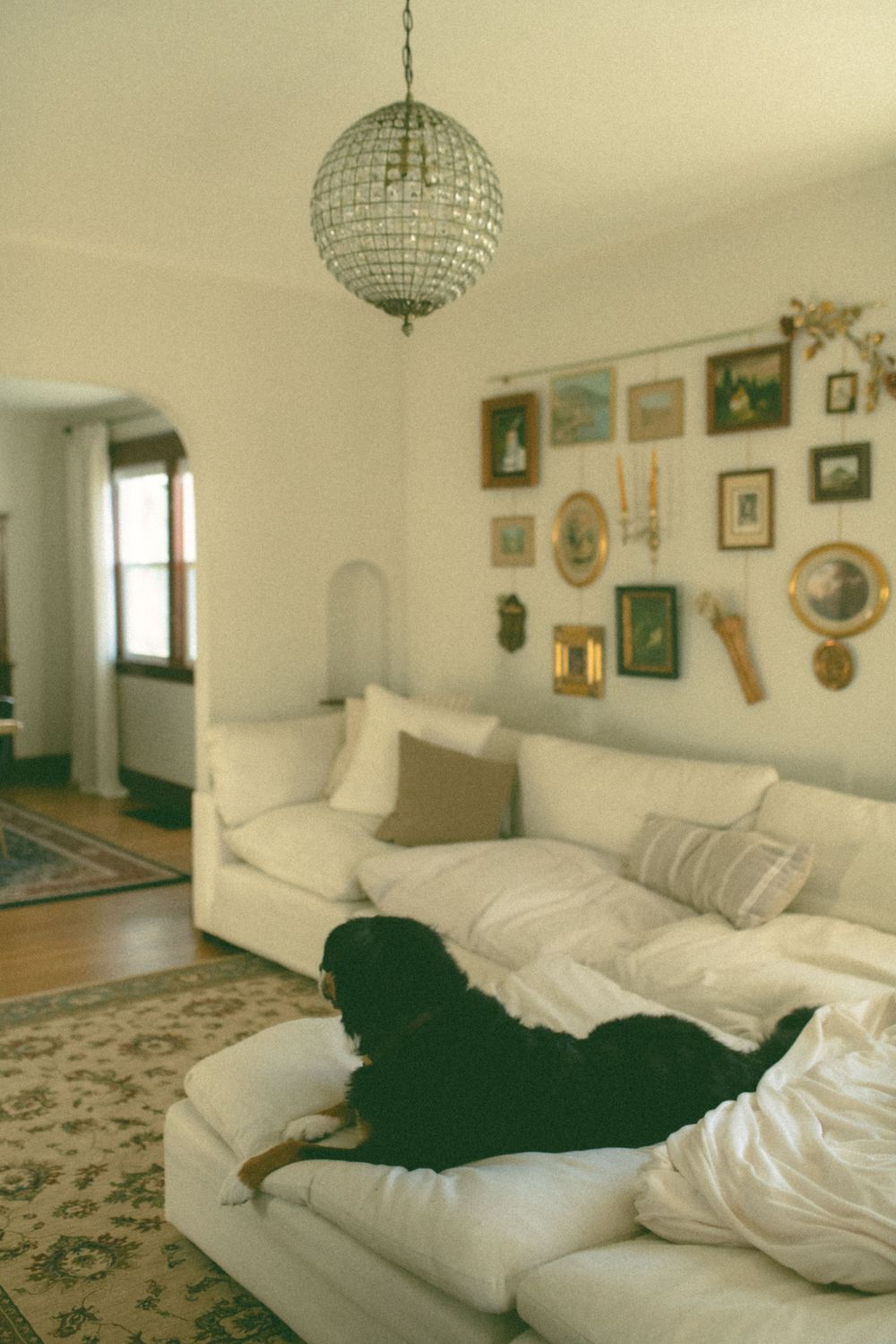 in home couples session with dog, in Grand Rapids michigan. cozy in home session. filmy family photos.