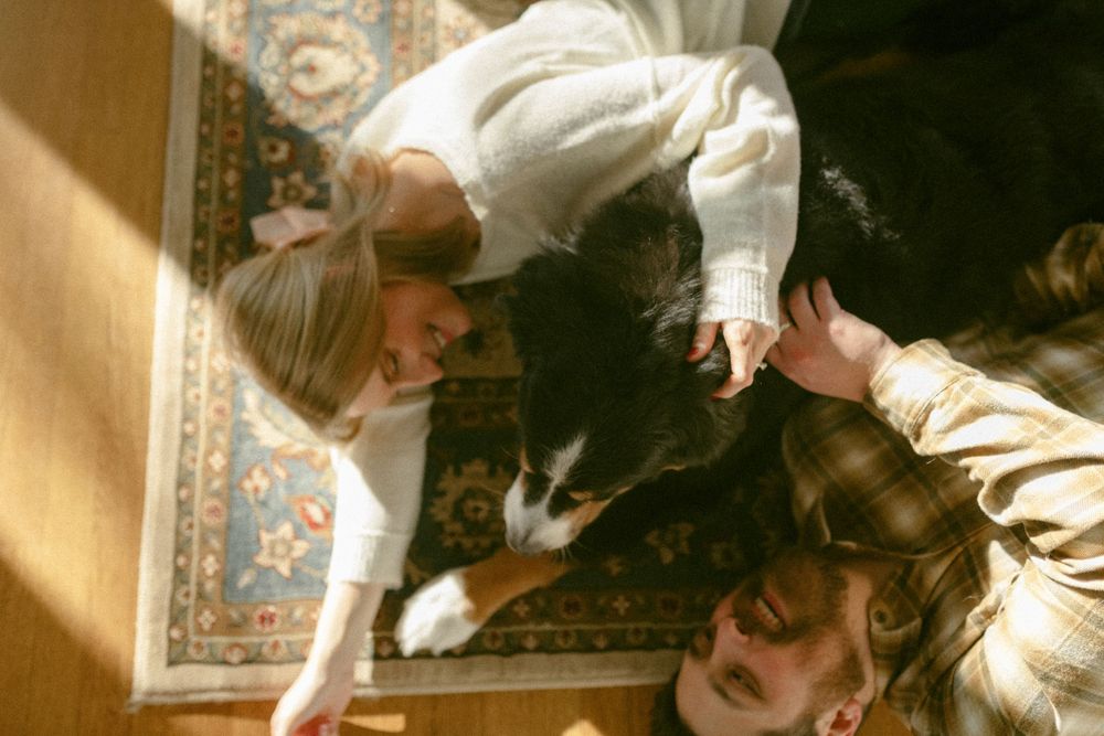 in home couples session with dog, in Grand Rapids michigan. cozy in home session. filmy family photos.