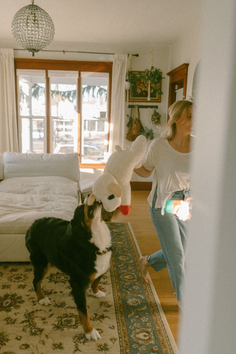 in home couples session with dog, in Grand Rapids michigan. cozy in home session. filmy family photos.