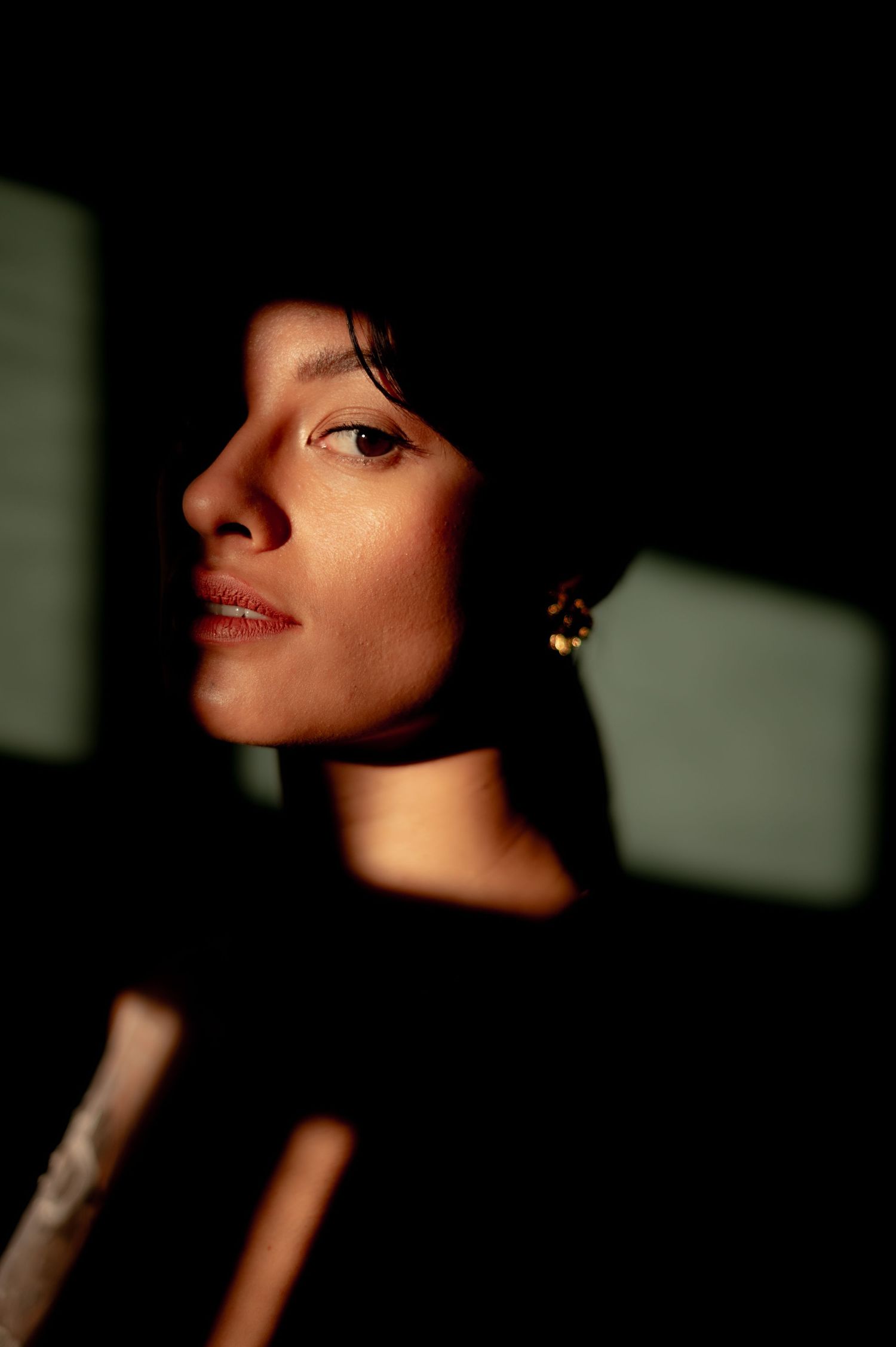 Artistic portrait series featuring dramatic lighting and shadows on a dark background.